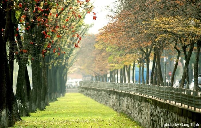 Đường Kim Mã- Con đường chụp ảnh đẹp Hà Nội