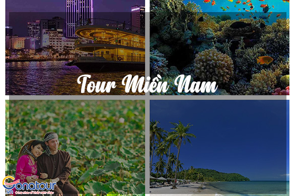 Tour du lịch Miền Nam