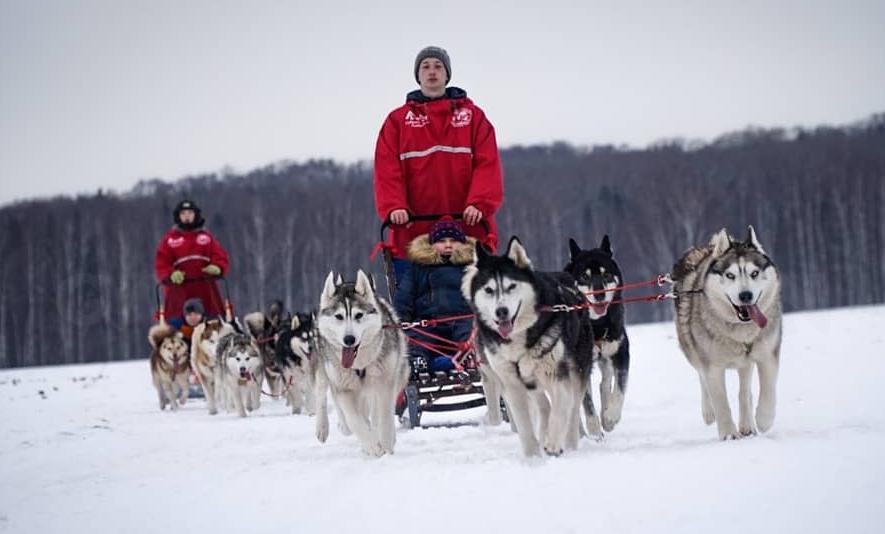 Thú vui cuộc thi trượt tuyết kéo chó tại Nga