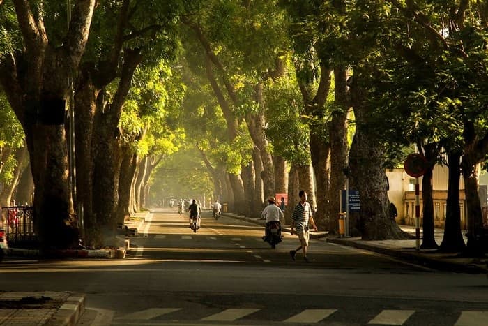 Đường Hoàng Diệu- Con đường xanh, mát, đẹp nhất Hà Nội