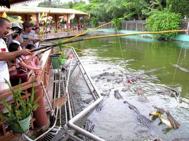 Khu du lịch Cồn Phụng Câu Cá sấu gonatour