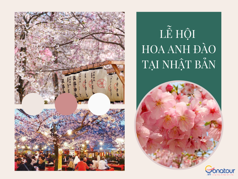 Hoa anh đào Nhật Bản