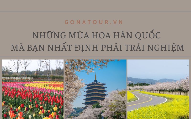 Những mùa hoa Hàn Quốc