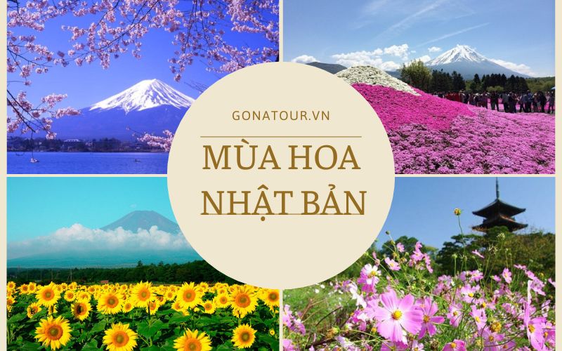 Mùa hoa Nhật Bản