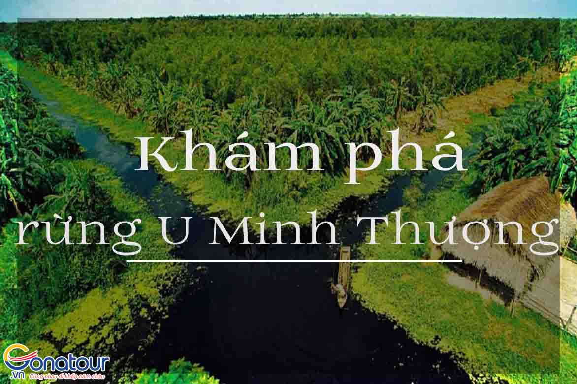 Khám phá rừng U Minh Thượng