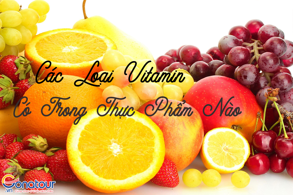 Các Vitamin Có Trong Những Loại Thực Phẩm Nào ?
