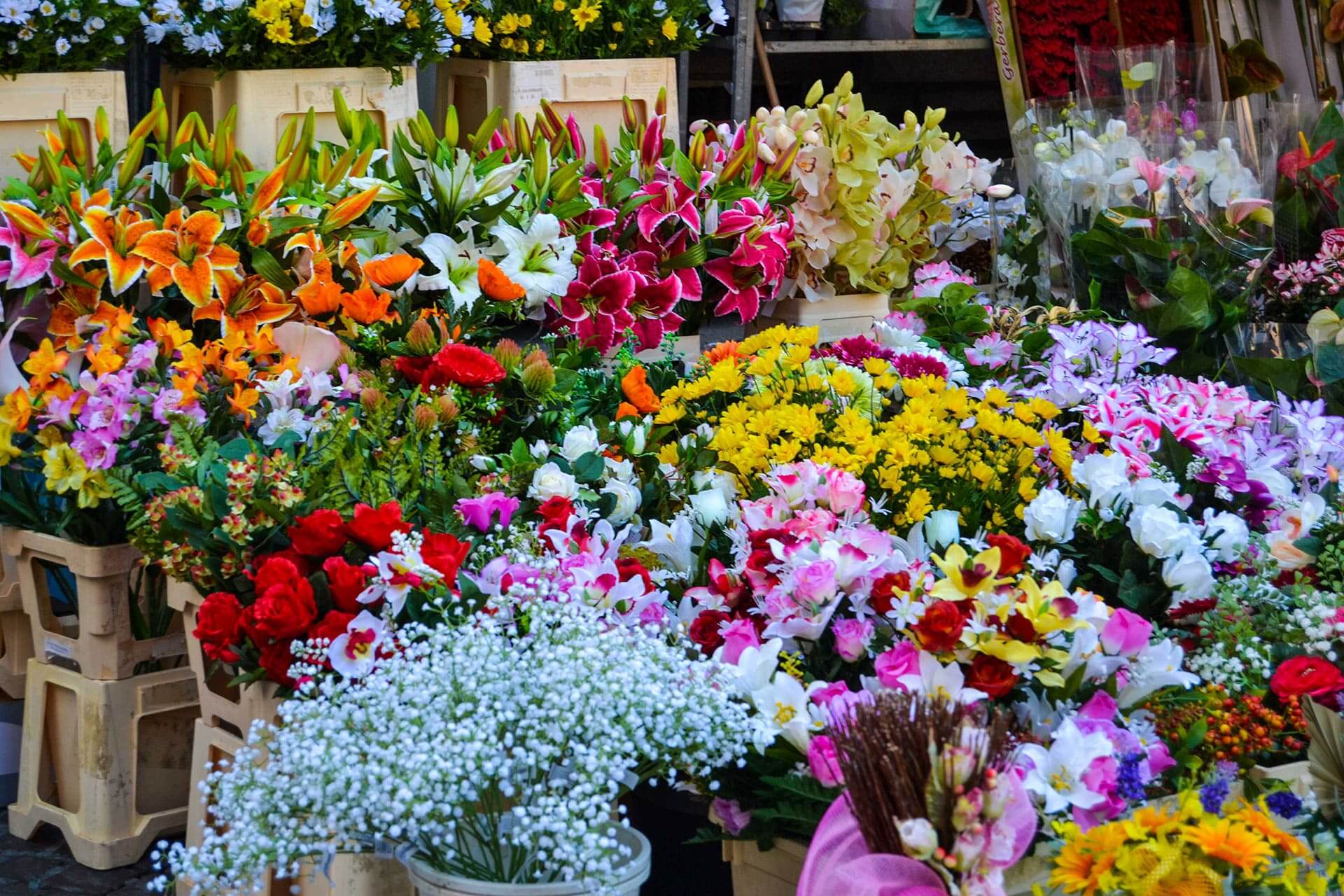 chợ hoa quảng ba hà nội