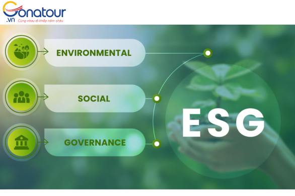 Thực hành ESG kết hợp du lịch trồng cây