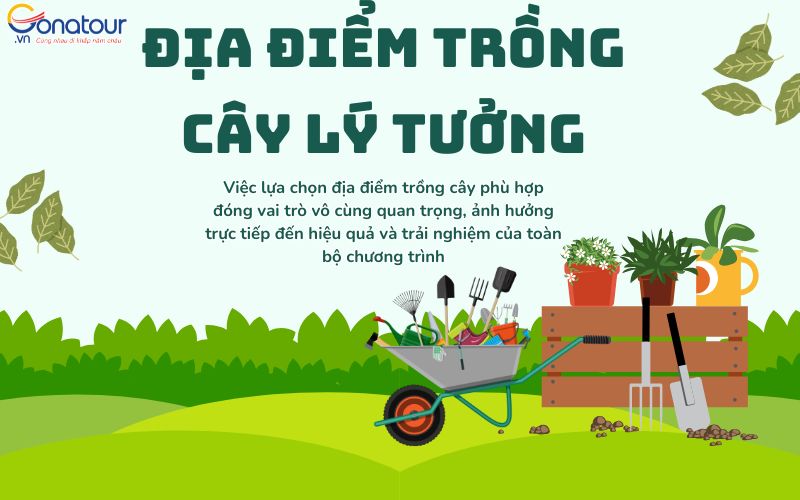 Địa điểm trồng cây lý tưởng