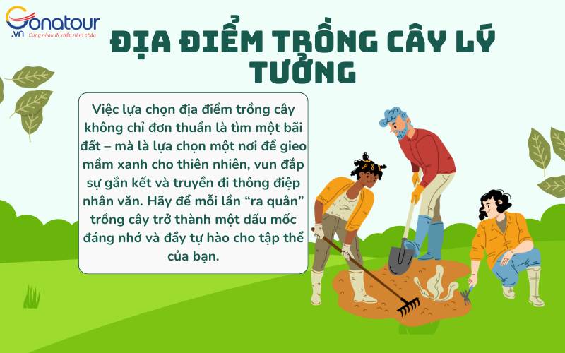 Địa điểm trồng cây lý tưởng
