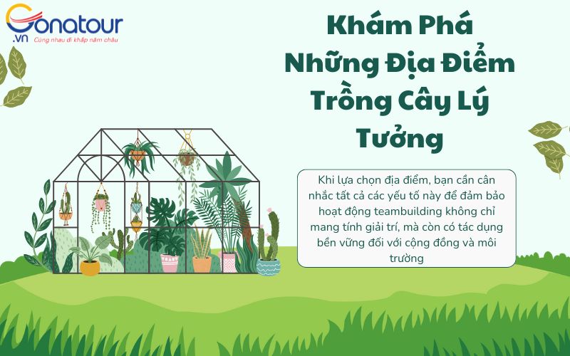 Địa điểm trồng cây lý tưởng