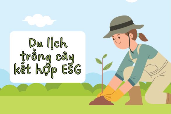 Du lịch trồng cây, xu hướng du lịch kết hợp ESG