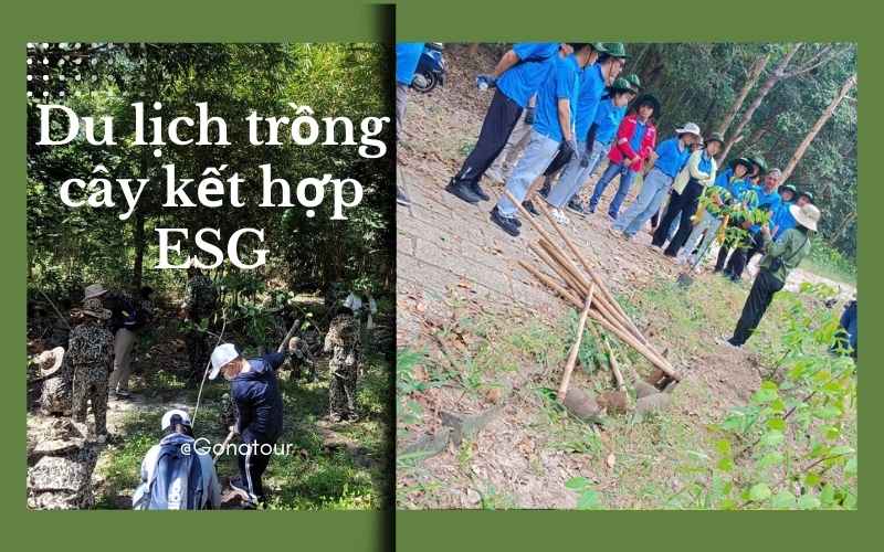 Du lịch trồng cây kết hợp ESG