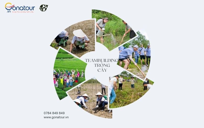 Teambuilding trồng cây