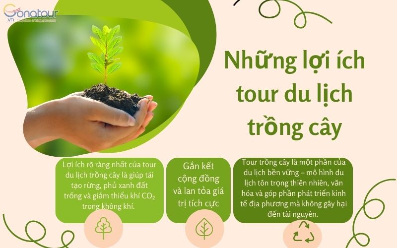 Tour du lịch trồng cây