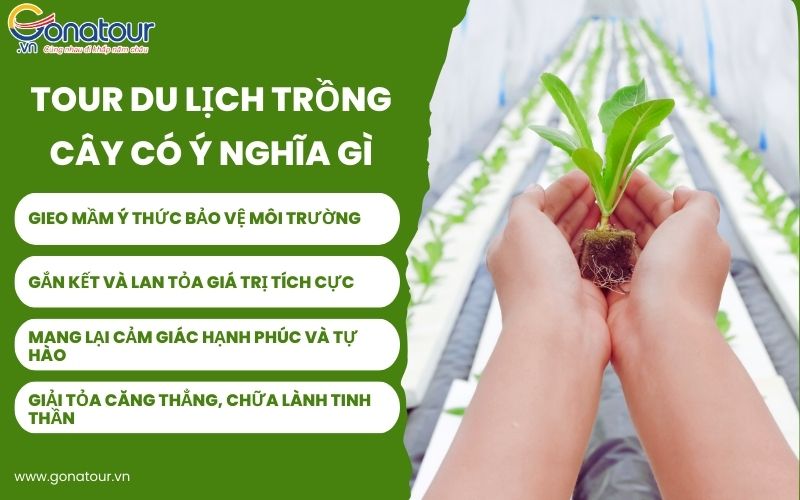 Tour du lịch trồng cây