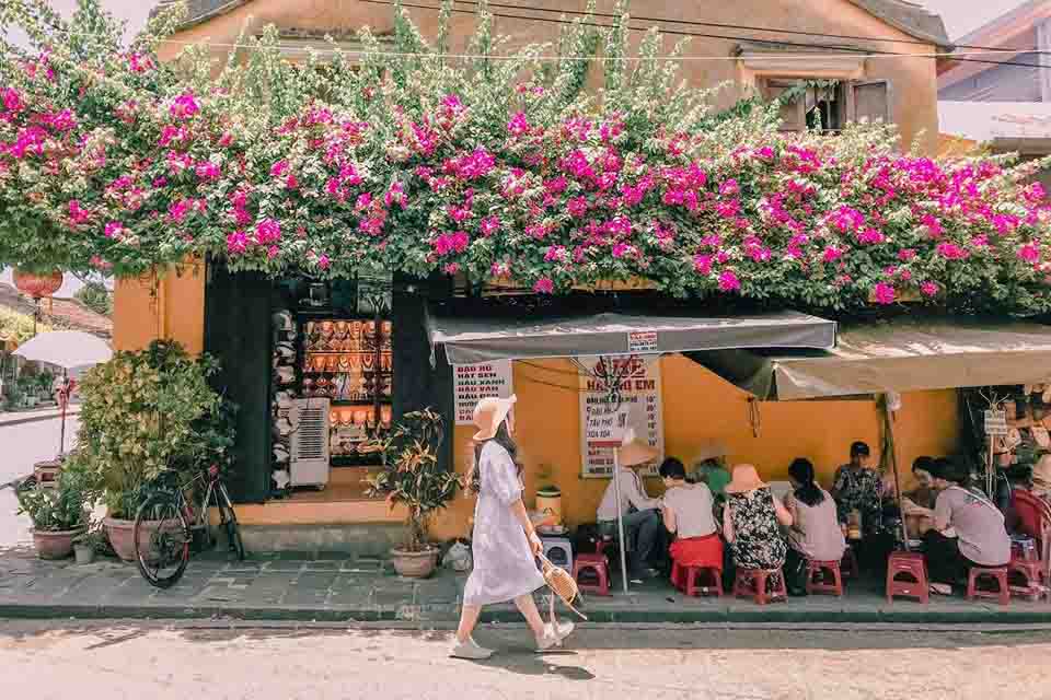 Giàn hoa giấy ở Hội An