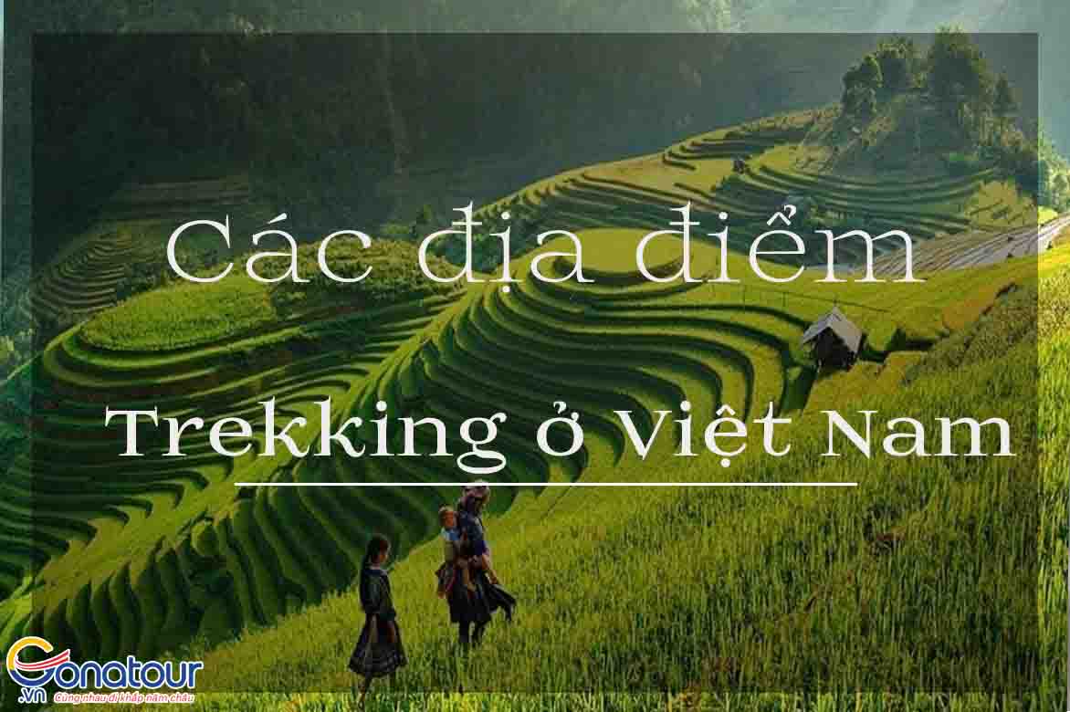 Các địa điểm trekking Việt Nam