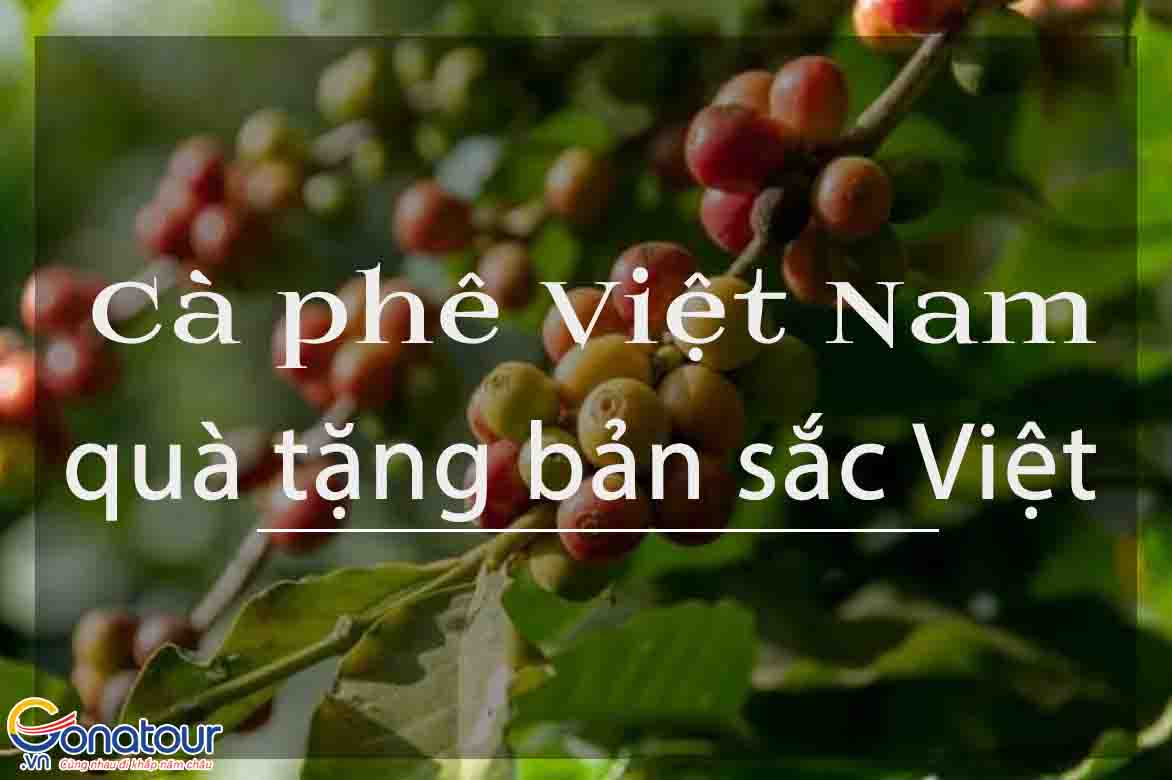 Cà phê Việt Nam, món quà mang bản sắc Việt