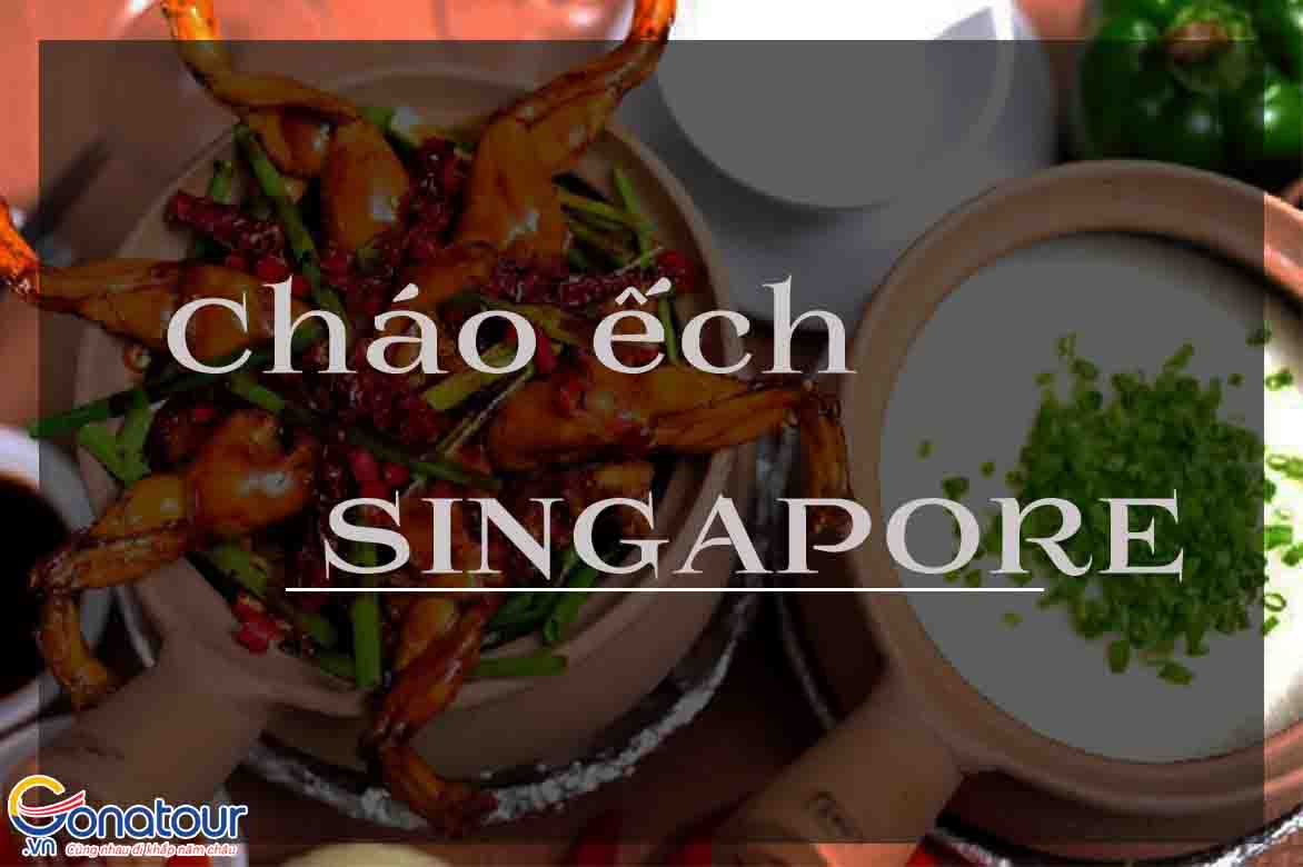 Cách nấu cháo ếch Singapore ngon