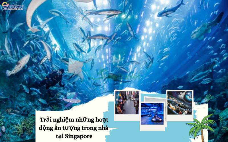 Du lịch Singapore với những trải nghiệm thú vị