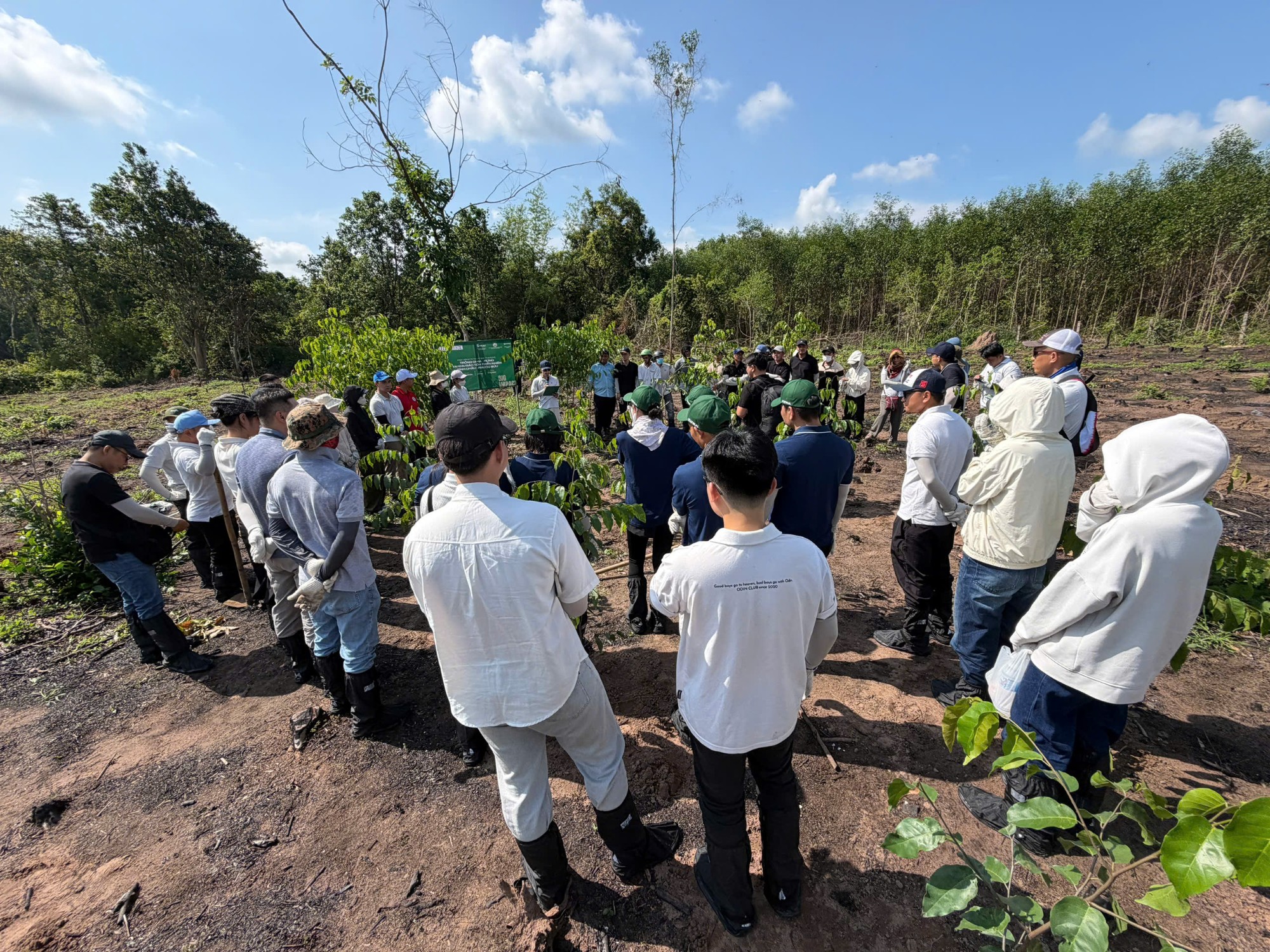 Tour trồng cây 1 ngày