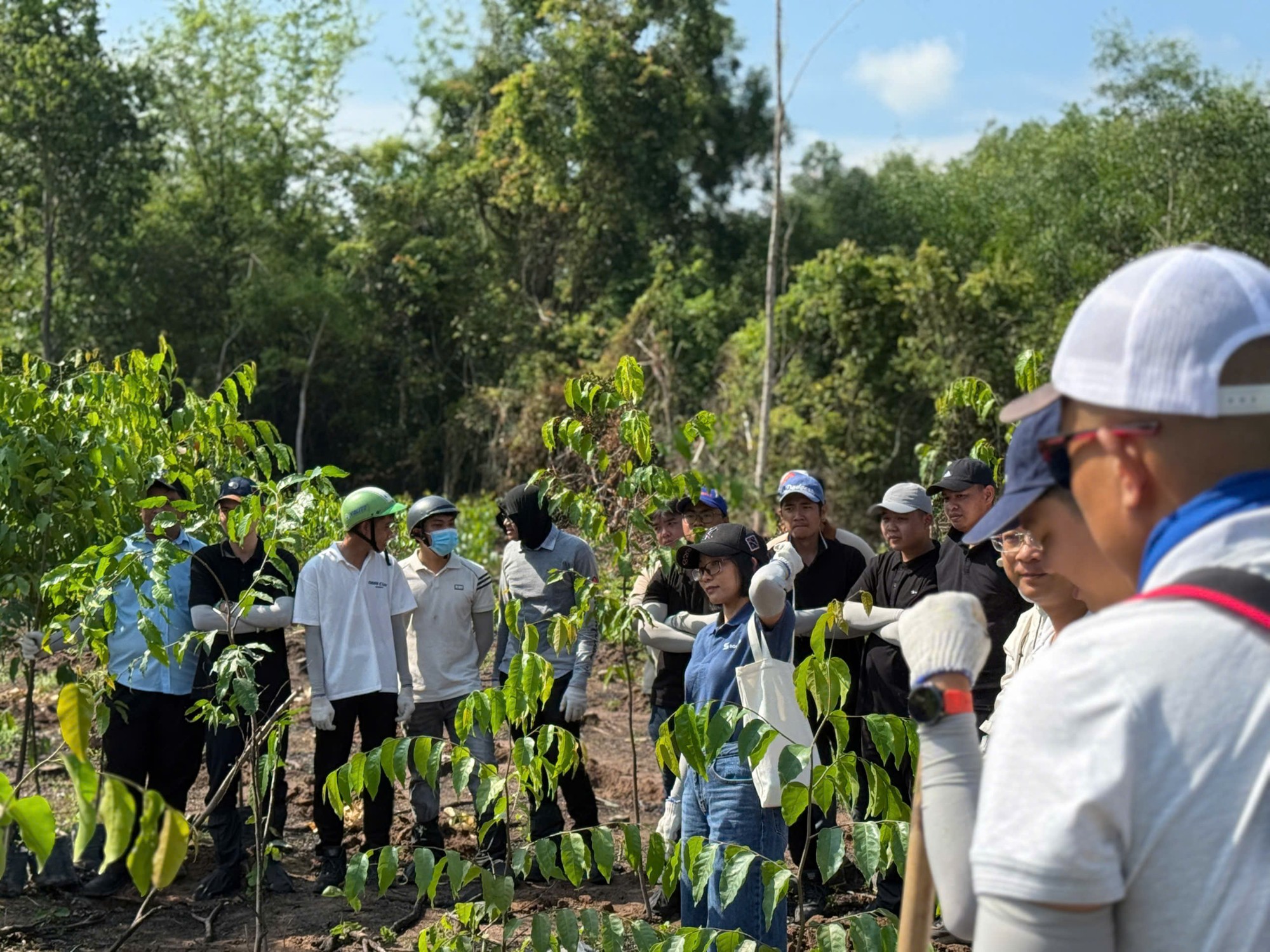 Tour trồng cây 1 ngày