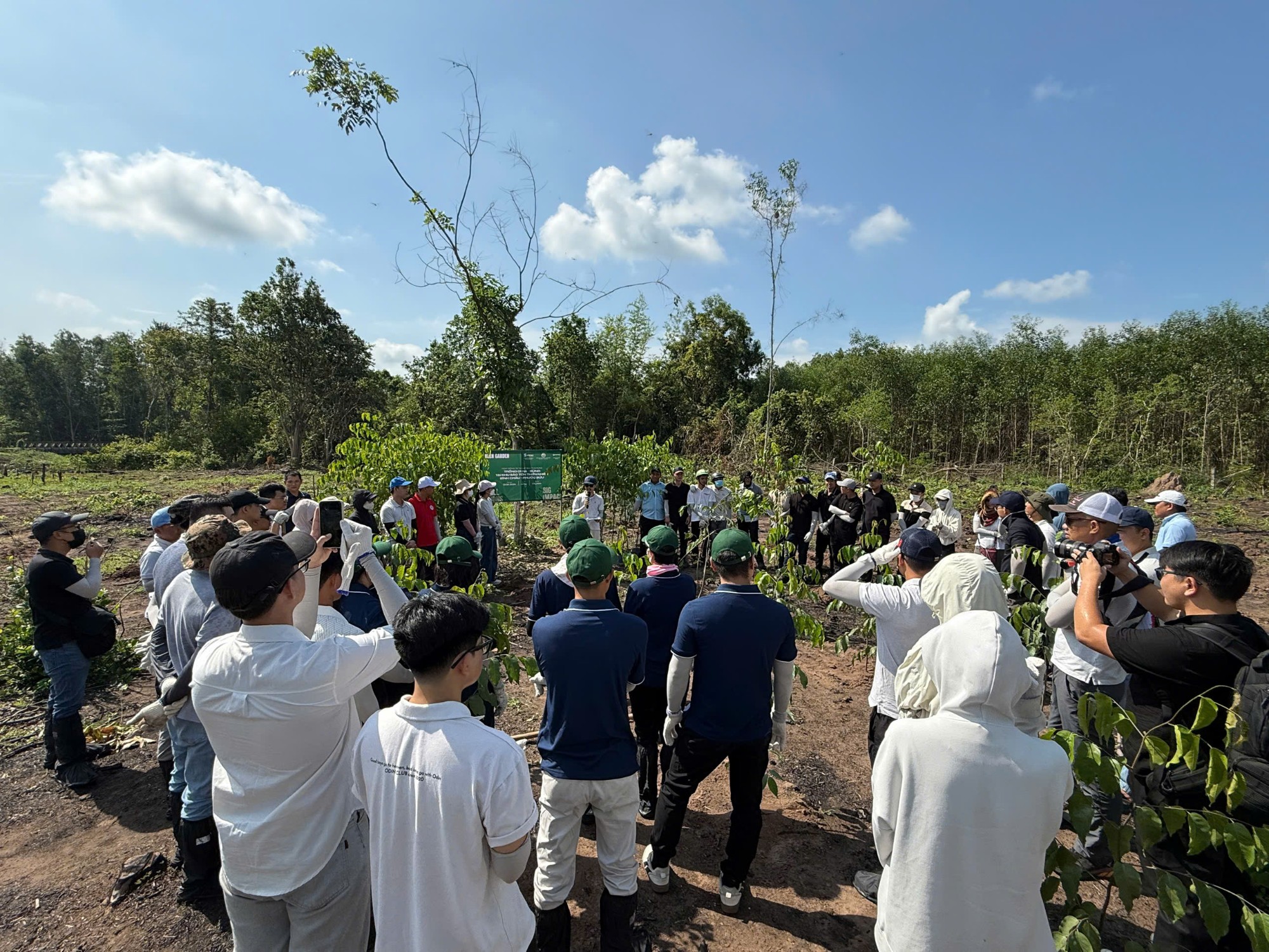Tour trồng cây 1 ngày
