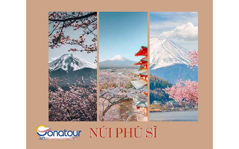 Trải nghiệm vẻ đẹp bốn mùa “độc nhất” của núi Phú Sĩ, Nhật Bản - Tugo.com.vn