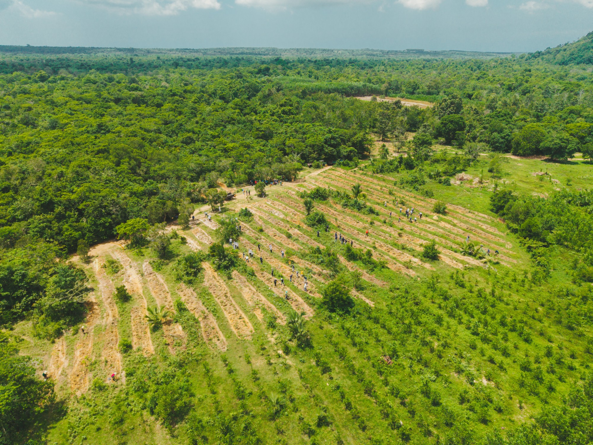 Tour trồng rừng kết hợp ESG