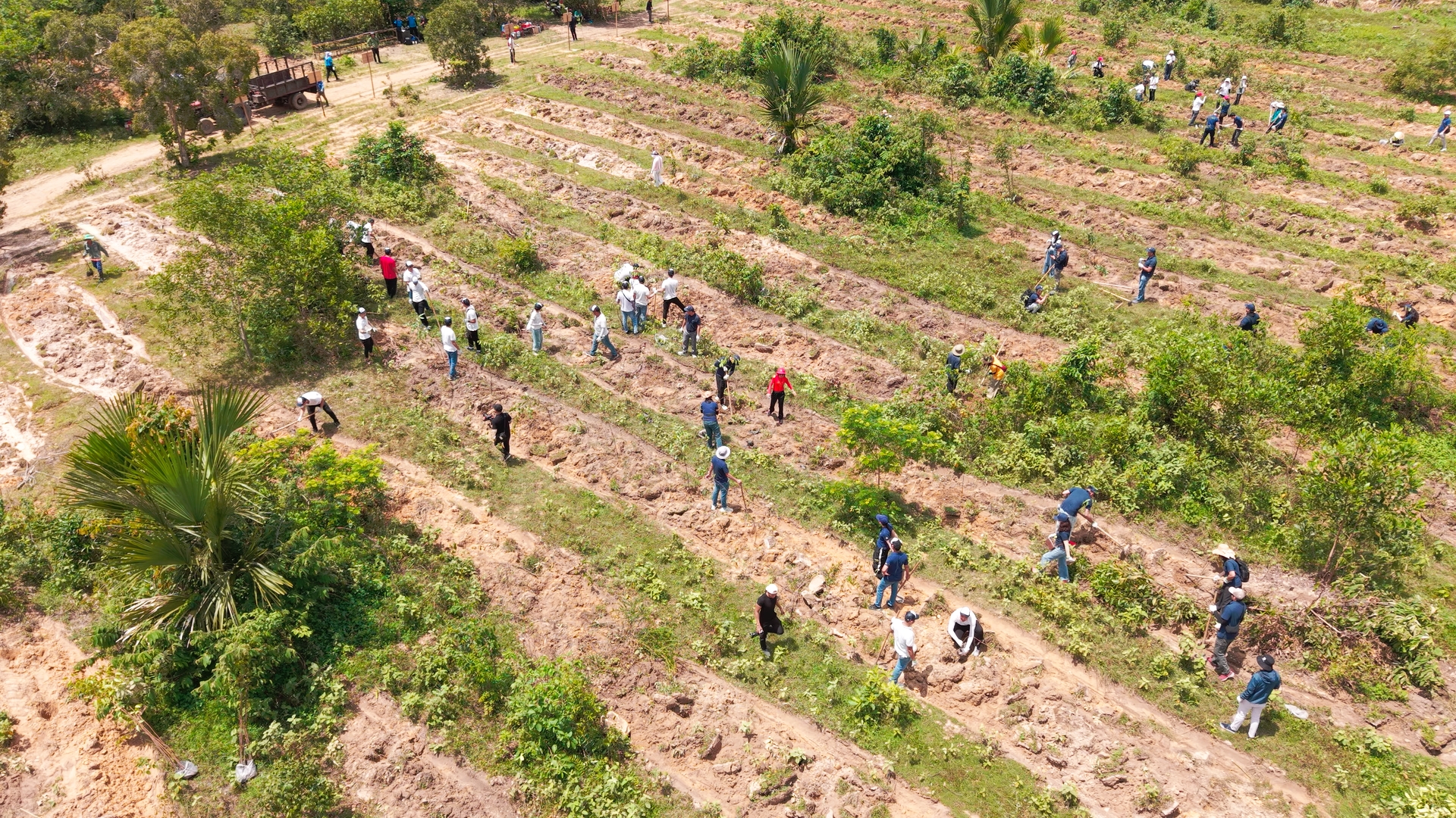 Tour trồng rừng kết hợp ESG