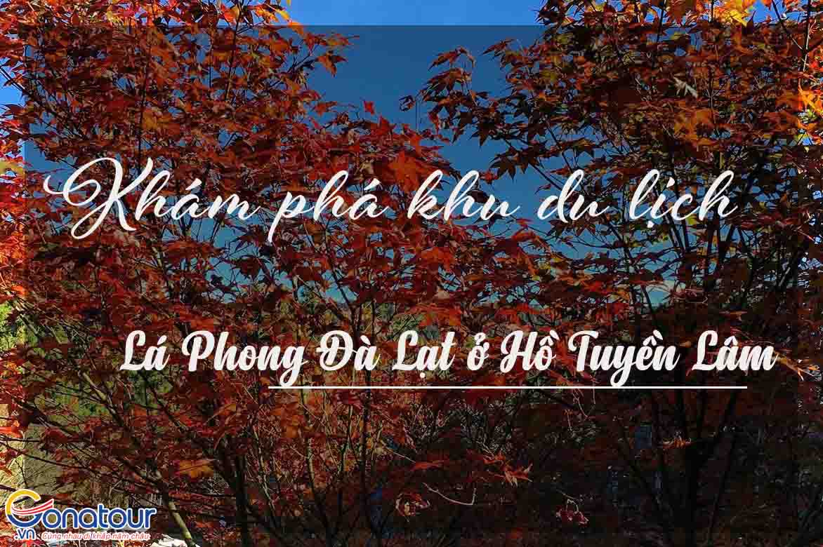 Khám phá khu du lịch lá phong Đà Lạt ở hồ Tuyền Lâm