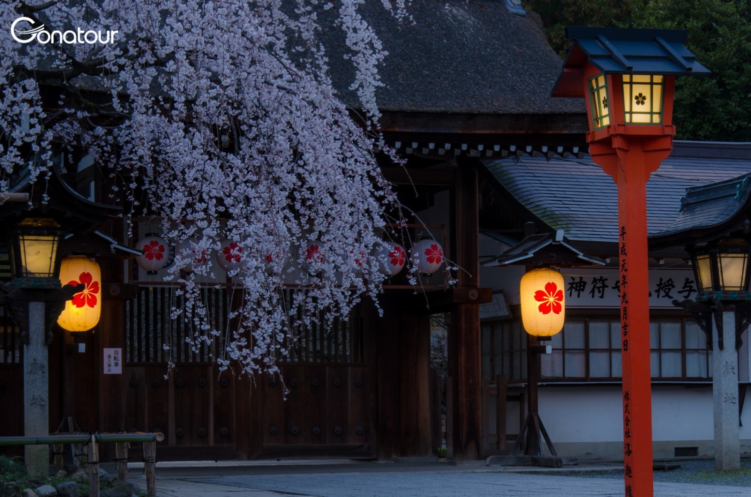 Nơi ngắm hoa Sakura nổi tiếng với 60 chủng loại