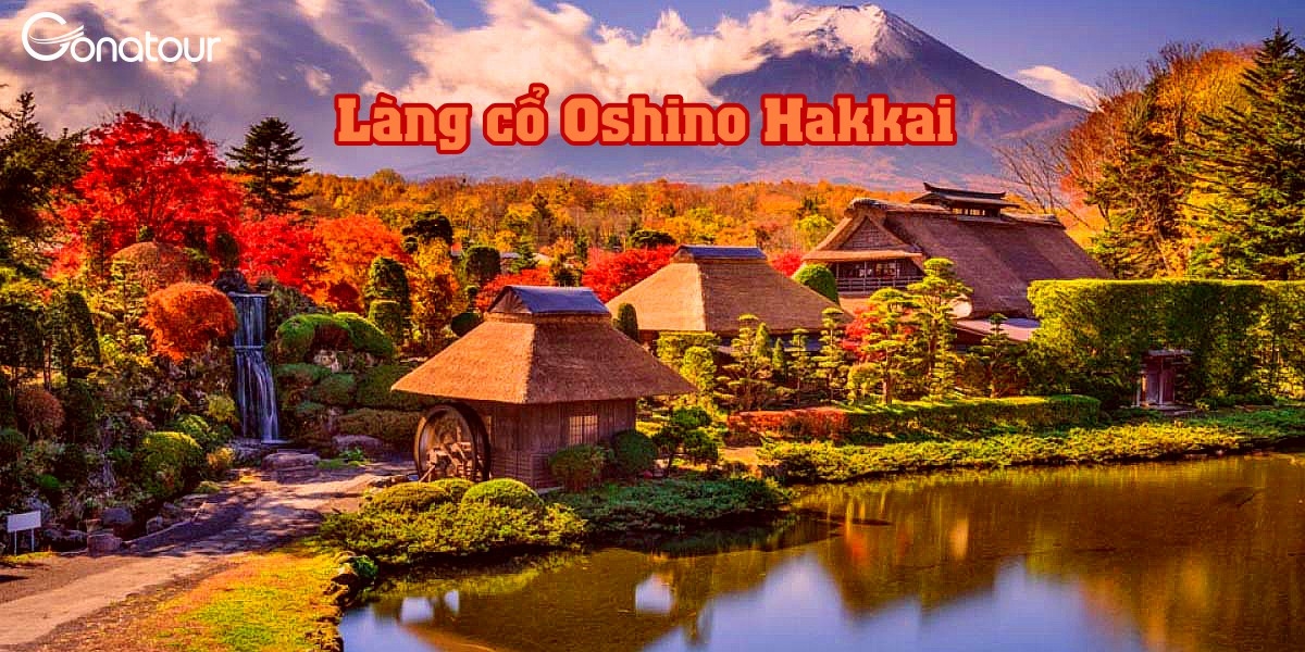 Mùa lá đỏ Làng cổ Oshino Haikai