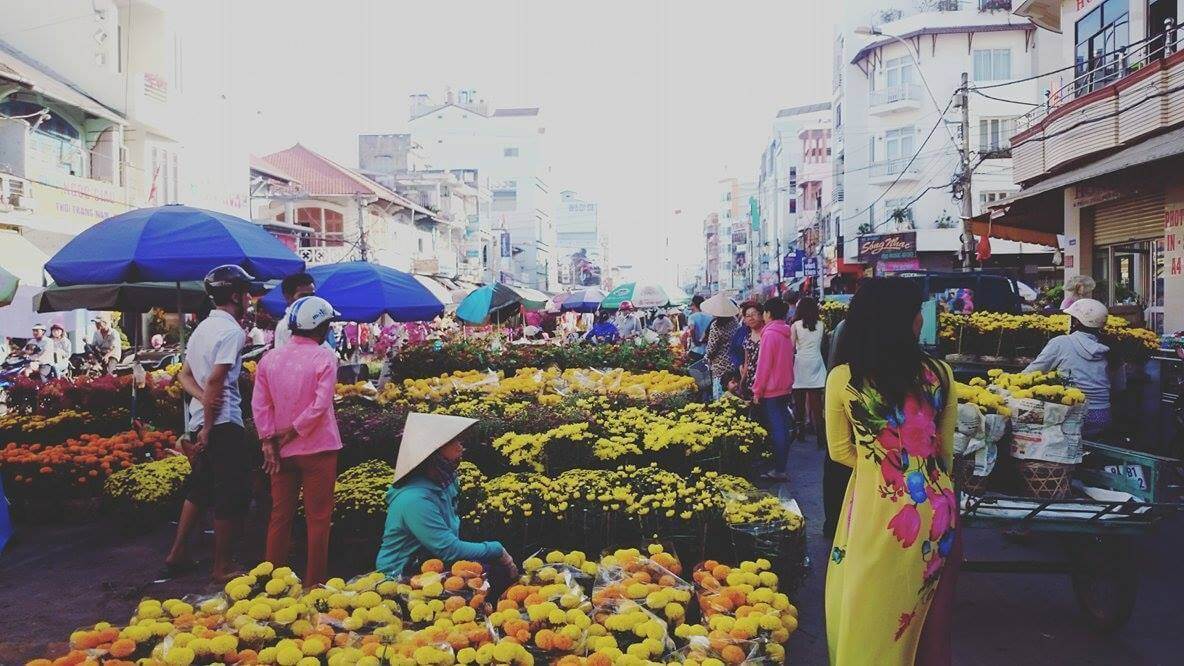 Sắm bông trưng Tết