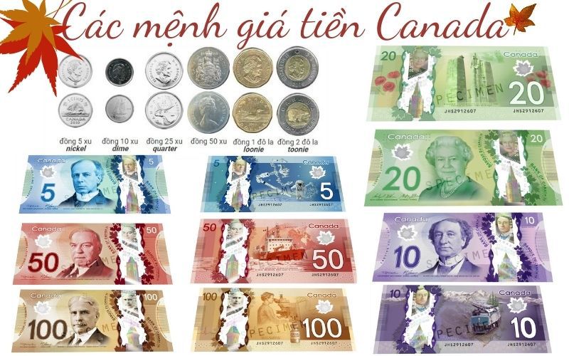 Cách nhanh nhất để đổi tiền Canada