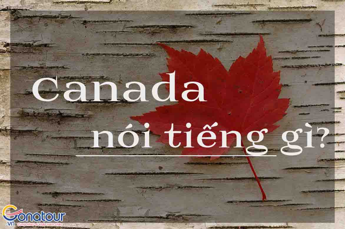 Canada nói tiếng gì? Sự đa dạng trong ngôn ngữ Canada