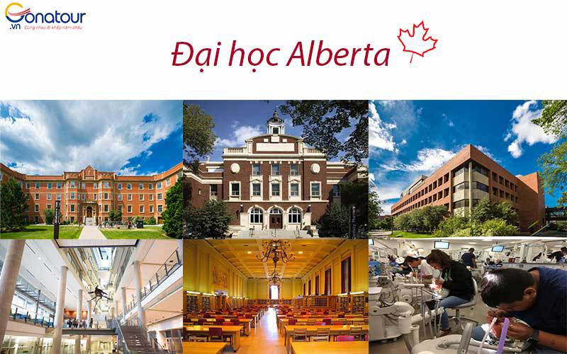 Trường đại học Alberta Canada