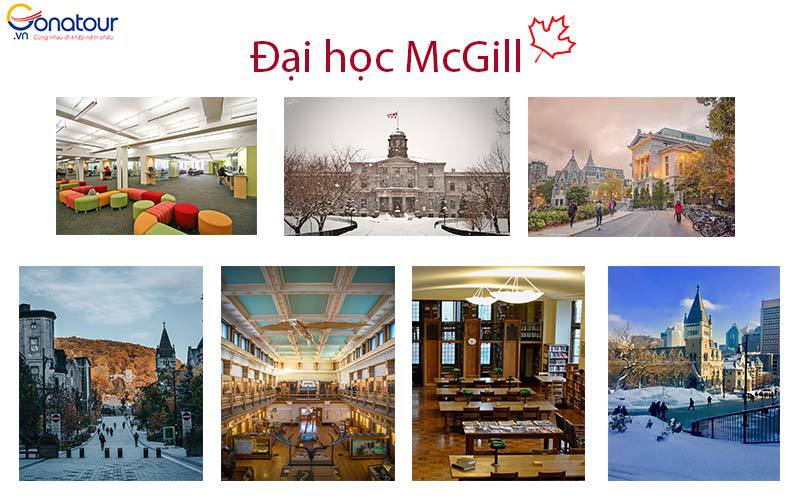 Trường đại học Mcgill Canada