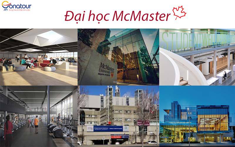 Trường đại học Mcmaster Canada