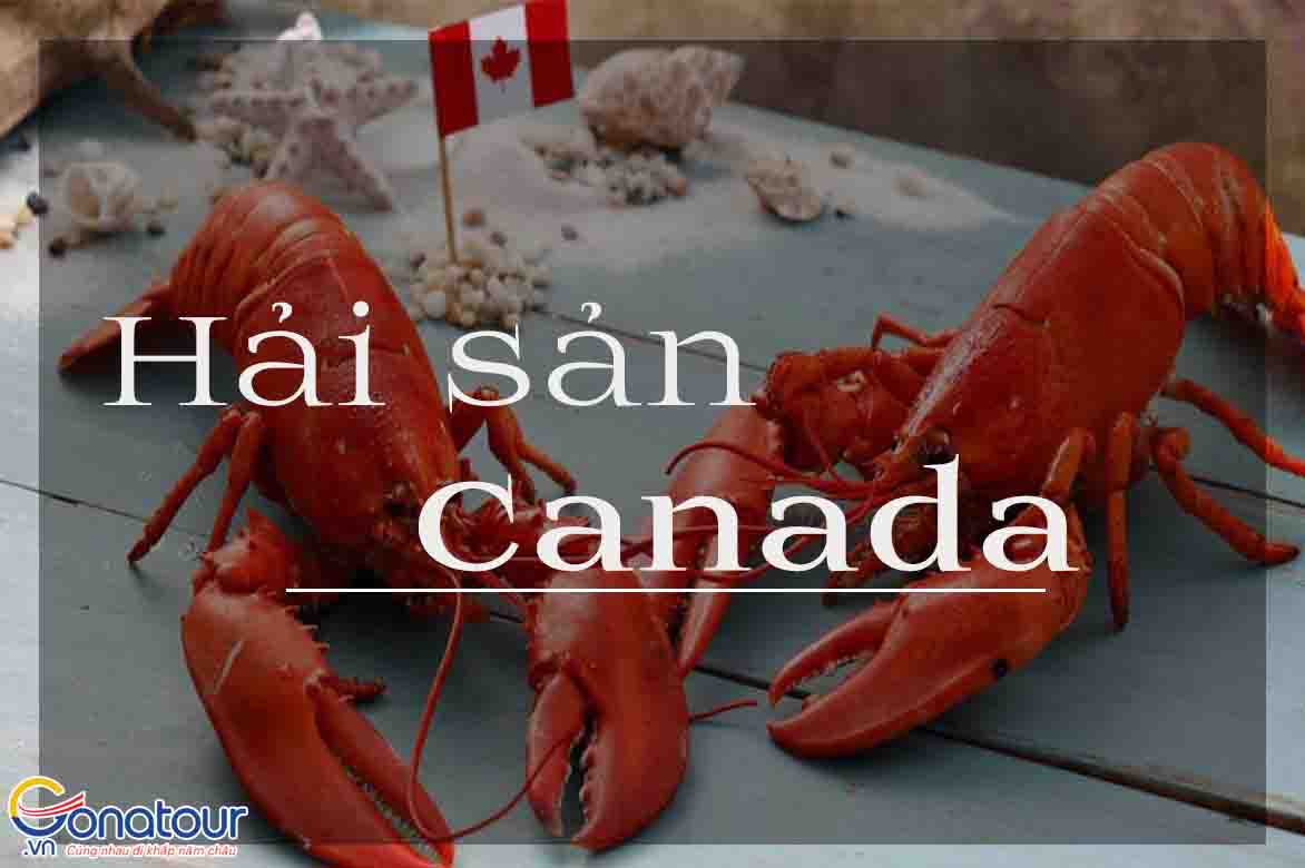 Những điều cần biết về hải sản Canada