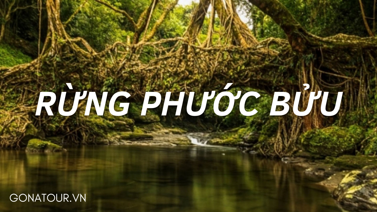 Du lịch Dã ngoại trekking rừng Phước Bửu – khu rừng nguyên sinh gần xịt Sài Gòn