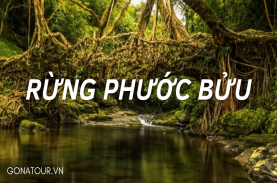 Du lịch Dã ngoại rừng Phước Bửu – khu rừng nguyên sinh gần xịt Sài Gòn