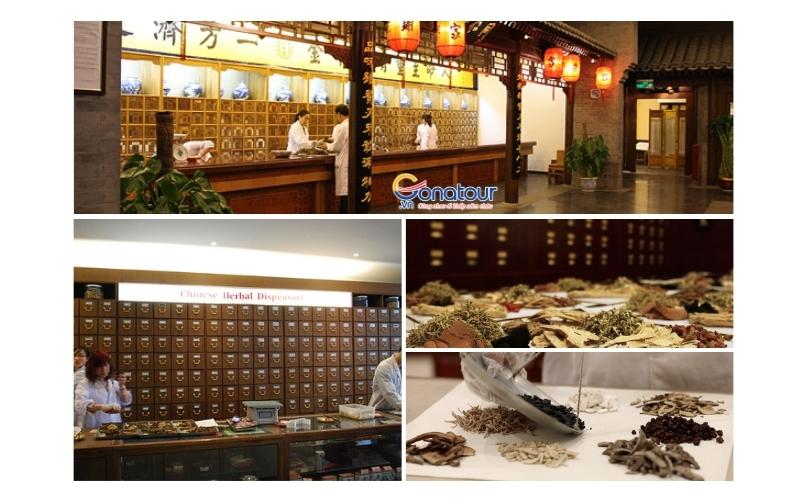 Đông Nhân Đường đã đưa Đông y Trung Quốc vươn tầm thế giới