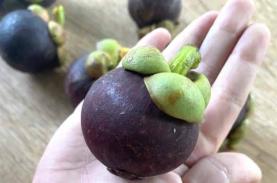 Làng Vườn Trái Cây Bình Mỹ Củ Chi Sài Gòn