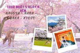 [HOA ANH ĐÀO] TOUR NHẬT 5N4D NAGOYA – NARA – OSAKA – KYOTO