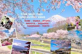[HÈ NHẬT BẢN] TOUR NHẬT 7N6D - CUNG ĐƯỜNG VÀNG KOBE – OSAKA – KYOTO – YAMANASHI – FUJI - TOKYO - NARITA
