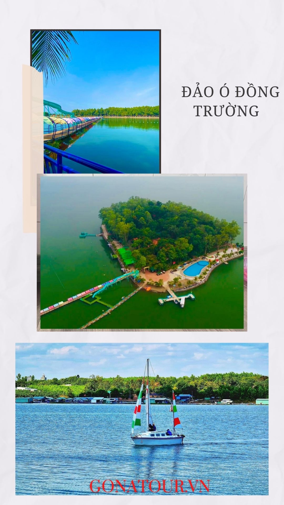 Đảo Ó Đồng Trường
