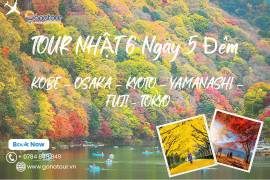 [THU VÀNG] [Tết Dương lịch] TOUR NHẬT 6 Ngày 5 Đêm – CUNG ĐƯỜNG VÀNG KOBE – OSAKA – KYOTO – YAMANASHI – FUJI - TOKYO