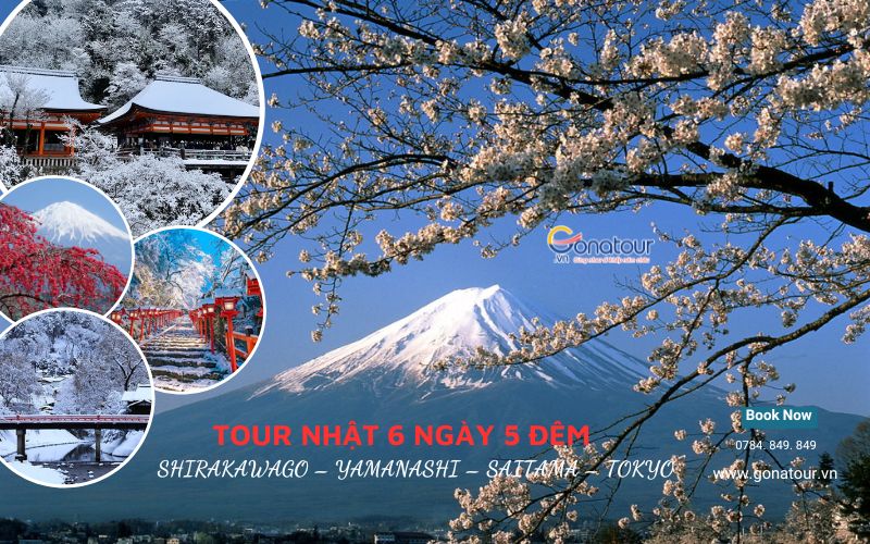 TOUR NHẬT 6 NGÀY 5 ĐÊM SHIRAKAWAGO – YAMANASHI – SAITAMA – TOKYO